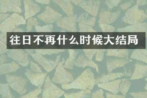 往日不再什么时候大结局
