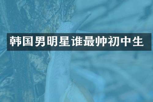 韩国男明星谁最帅初中生