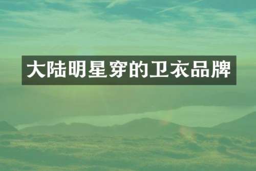大陆明星穿的卫衣品牌