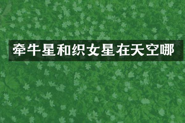 牵牛星和织女星在天空哪