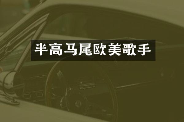 半高马尾欧美歌手
