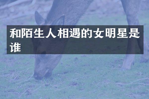和陌生人相遇的女明星是谁