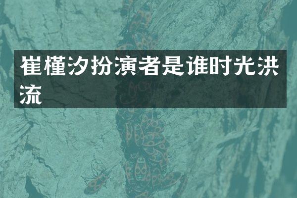 崔槿汐扮演者是谁时光洪流
