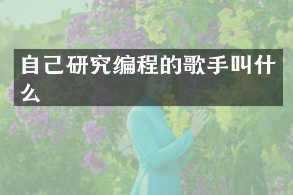 自己研究编程的歌手叫什么