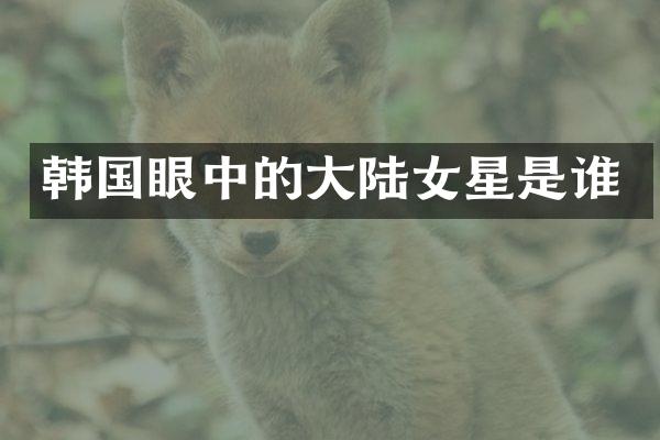 韩国眼中的大陆女星是谁