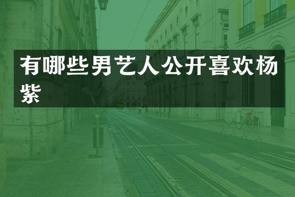有哪些男艺人公开喜欢杨紫