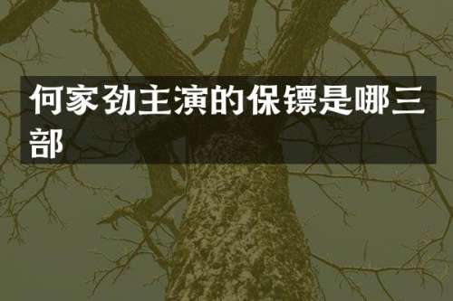 何家劲主演的保镖是哪三部