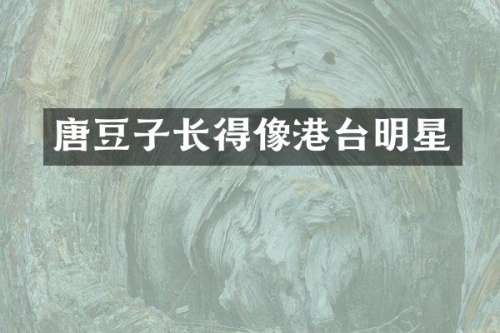 唐豆子长得像港台明星