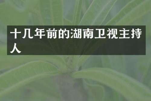 十几年前的湖南卫视主持人