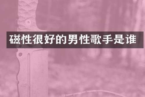 磁性很好的男性歌手是谁