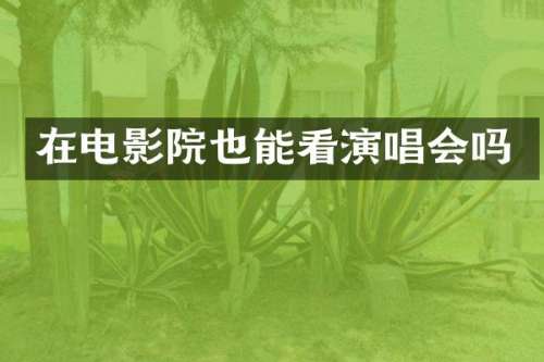 在电影院也能看演唱会吗