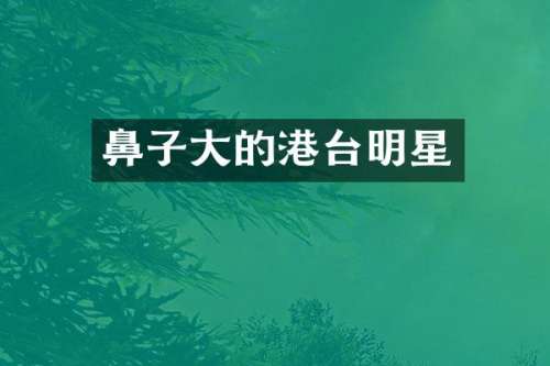 鼻子大的港台明星
