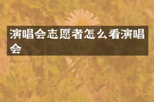 演唱会志愿者怎么看演唱会