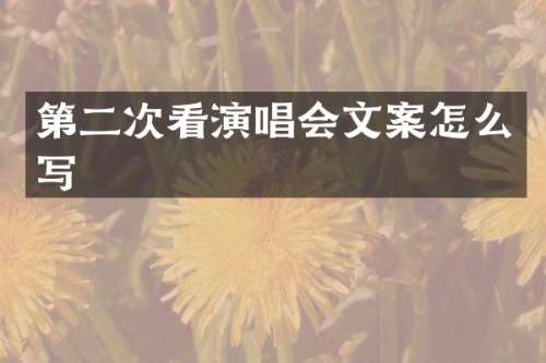 第二次看演唱会文案怎么写