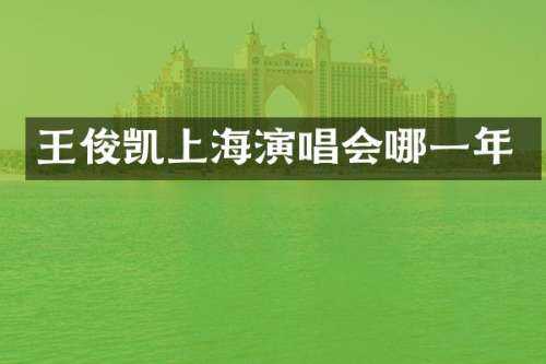 王俊凯上海演唱会哪一年