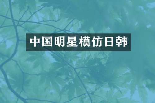 中国明星模仿日韩