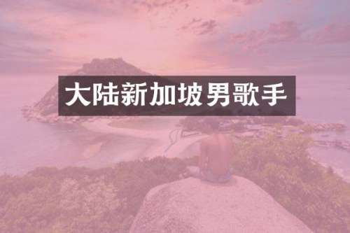 大陆新加坡男歌手