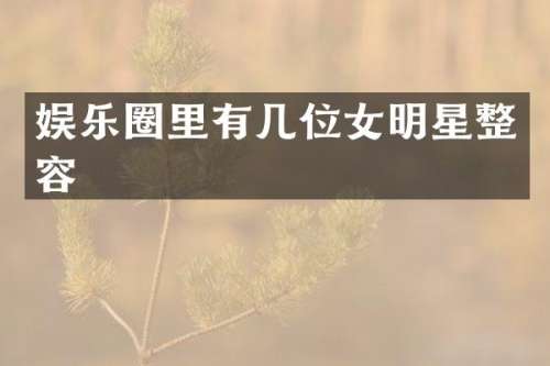 娱乐圈里有几位女明星整容
