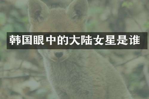 韩国眼中的大陆女星是谁