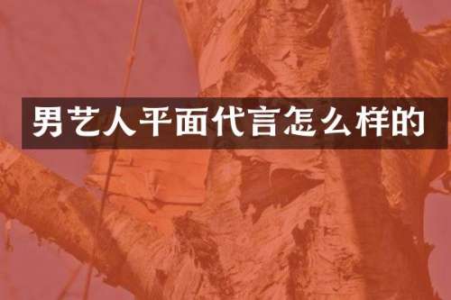 男艺人平面代言怎么样的