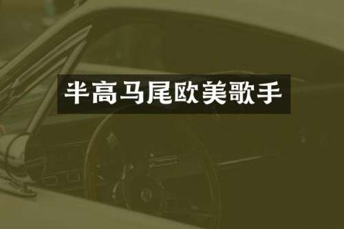 半高马尾欧美歌手
