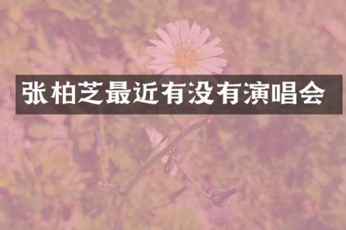 张柏芝最近有没有演唱会