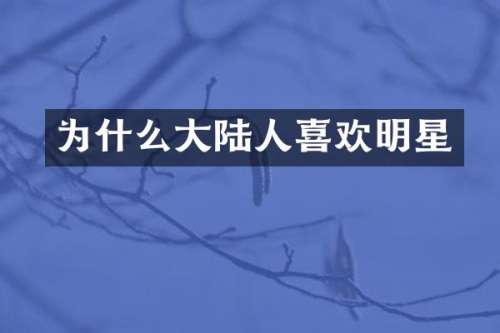 为什么大陆人喜欢明星
