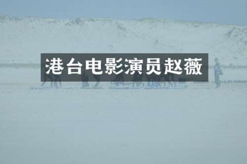 港台电影演员赵薇