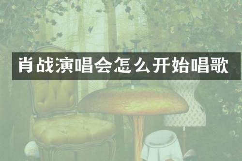 肖战演唱会怎么开始唱歌