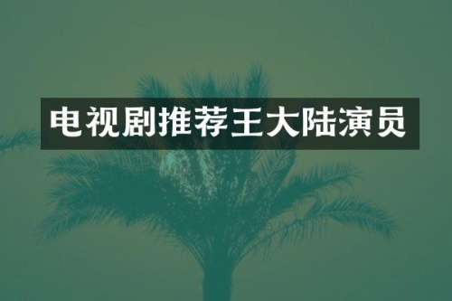 电视剧推荐王大陆演员