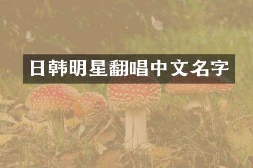 日韩明星翻唱中文名字