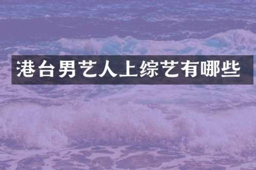 港台男艺人上综艺有哪些