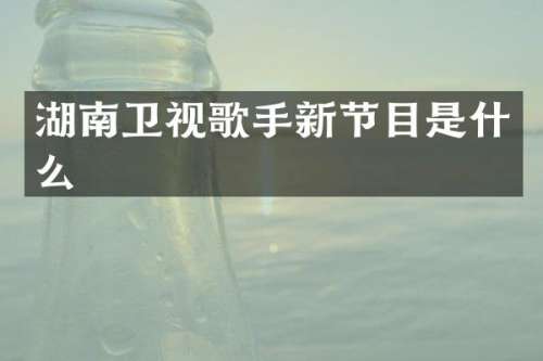 湖南卫视歌手新节目是什么