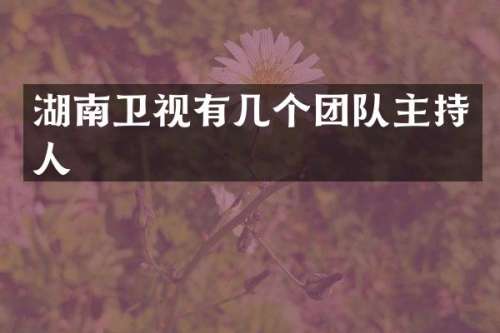 湖南卫视有几个团队主持人