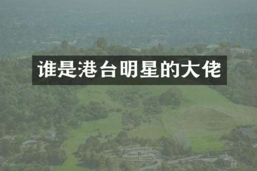 谁是港台明星的大佬