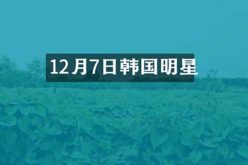 12月7日韩国明星