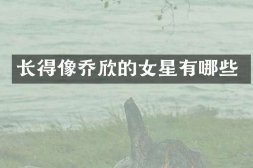 长得像乔欣的女星有哪些