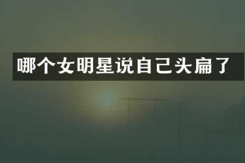 哪个女明星说自己头扁了