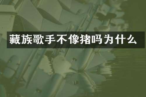 藏族歌手不像猪吗为什么