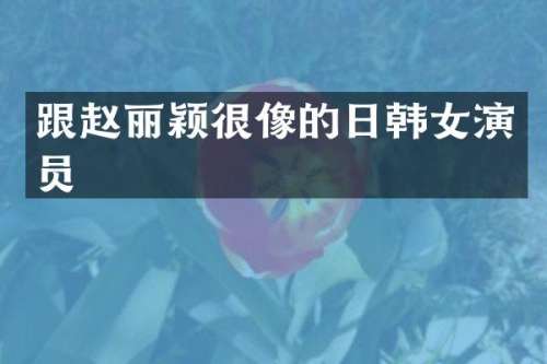 跟赵丽颖很像的日韩女演员