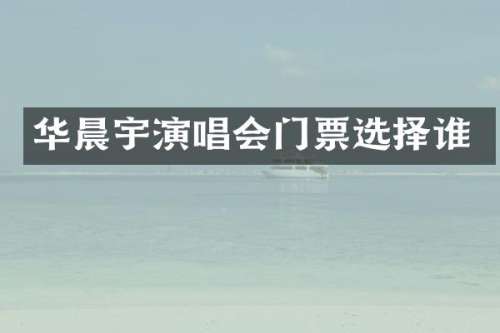 华晨宇演唱会门票选择谁