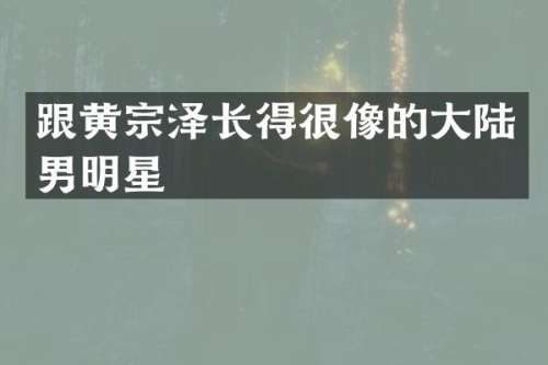 跟黄宗泽长得很像的大陆男明星