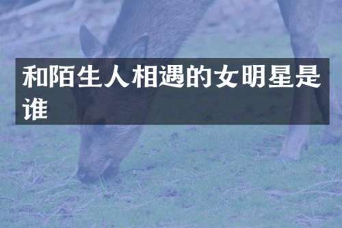 和陌生人相遇的女明星是谁