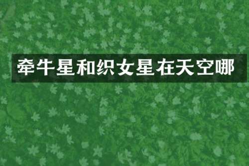 牵牛星和织女星在天空哪