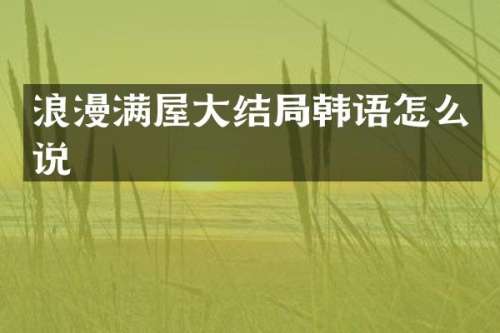 浪漫满屋大结局韩语怎么说