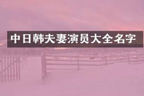 中日韩夫妻演员大全名字