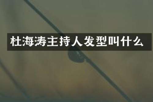 杜海涛主持人发型叫什么