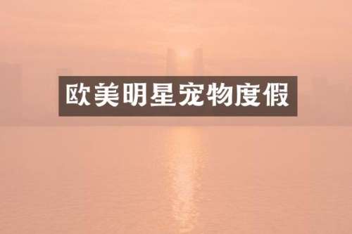 欧美明星宠物度假