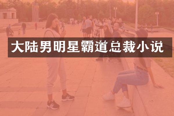 大陆男明星霸道总裁小说