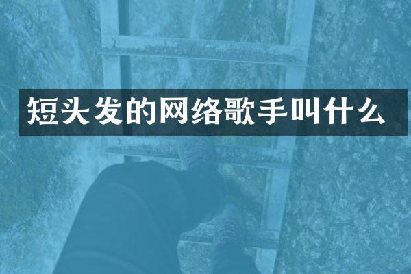 短头发的网络歌手叫什么